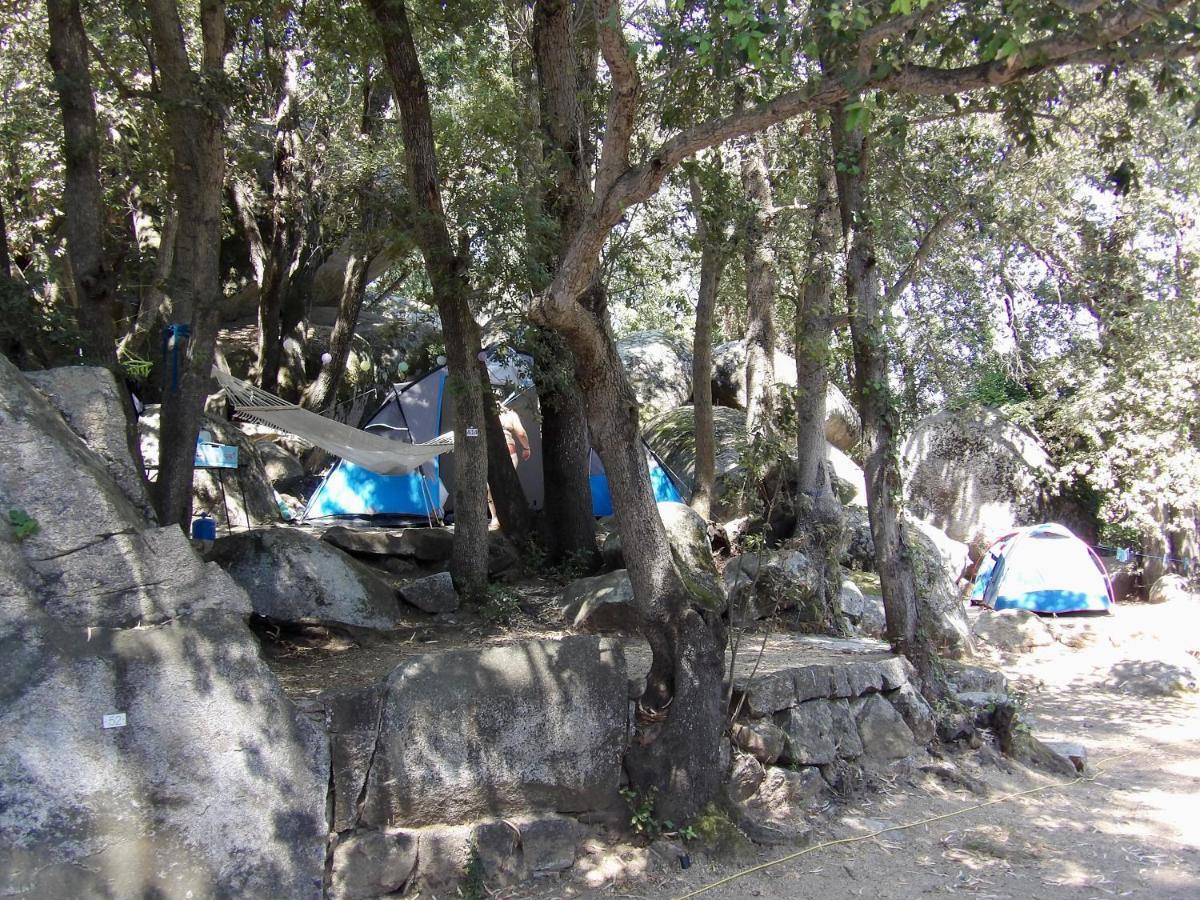 Camping La Baie Des Voiles 维琪奥港 外观 照片
