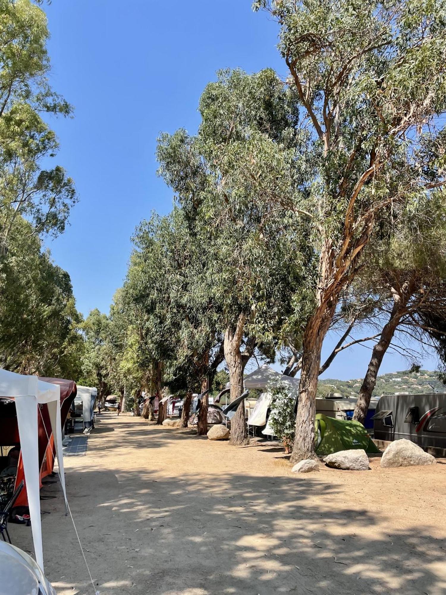 Camping La Baie Des Voiles 维琪奥港 外观 照片